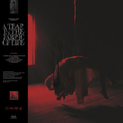 Forced to Stay