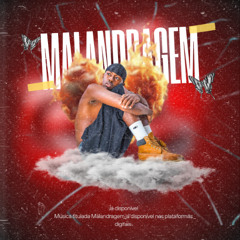 Cerrão Rich - MALANDRAGEM ( Hosted by Wildo D. X G beat