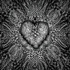 SEYMIATE - FILL OUT MY HEART