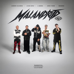 Malandrito (Remix) [feat. Remers & Animal]