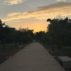 At the End of the Day, It’s Night (Nocturne No. 2 in B Minor)