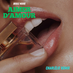 Boule Noire - Aimer d'Amour (Charlélie Remix)