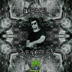 Bahaael Artist 420