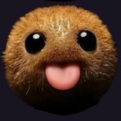 Project_148(kokumo diss)