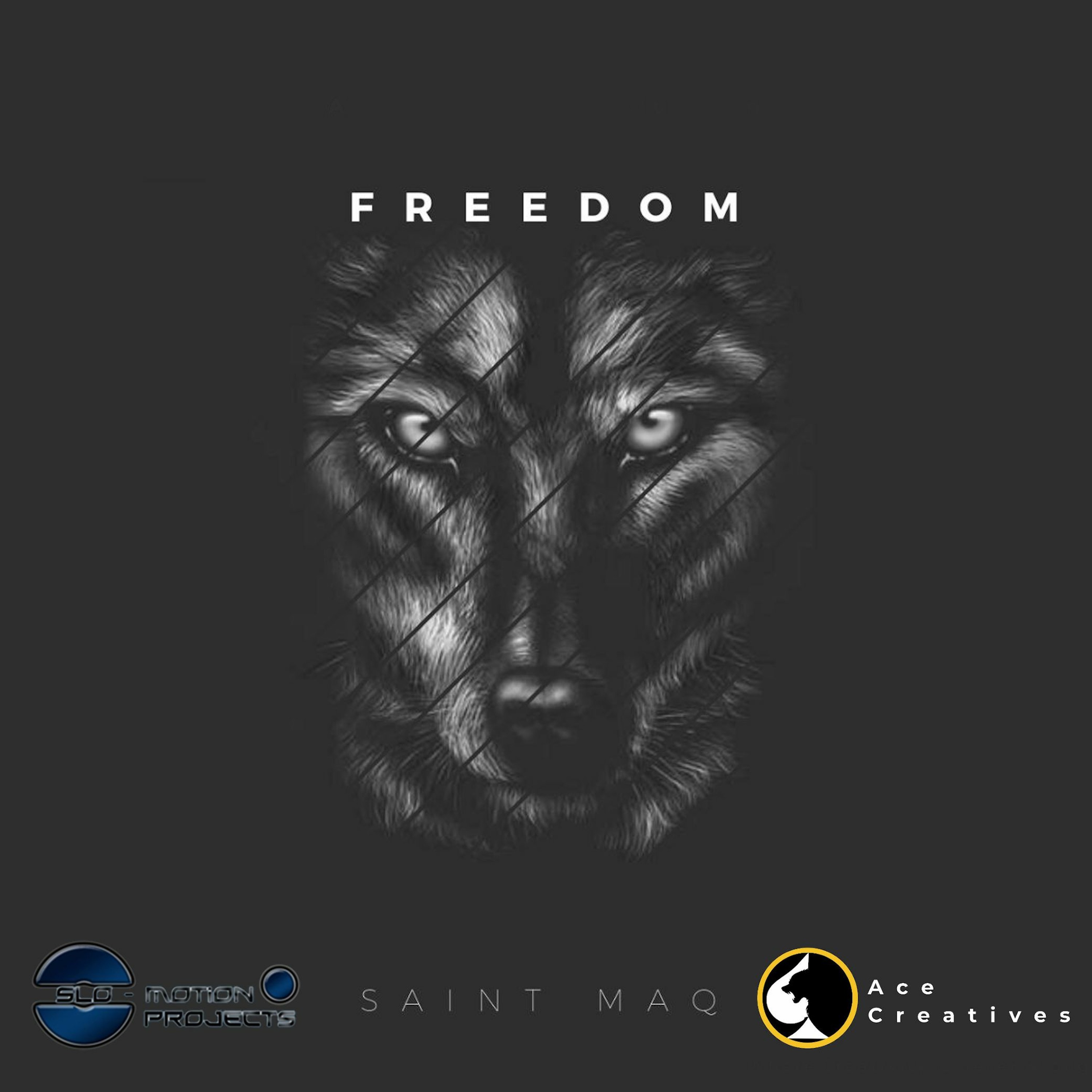 Freedom (Clean) episode artwork