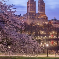 don't wanna stay w/ yuske (jayysoul) [ON ALL PLATS]