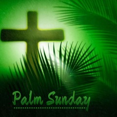Passion (Palm) Sunday