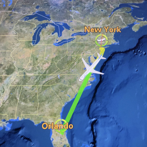 Never IMAGINE (OtLOWKEY)