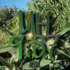 NDC-URBAN STYLE PMS Z[]Z[]