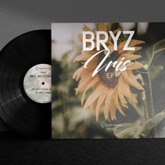 Bryz