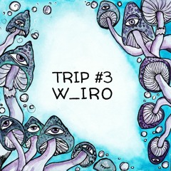 Trip#3: w_iro