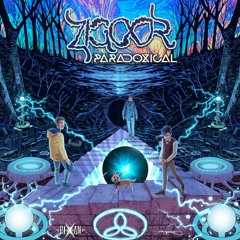 ZIGOOR - Schrödinger Loop