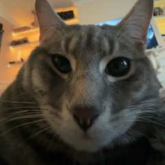 Hardcore Spring 2023