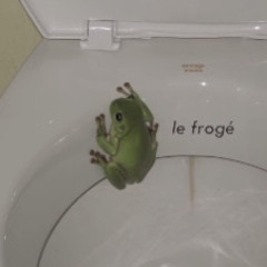 Le frogé