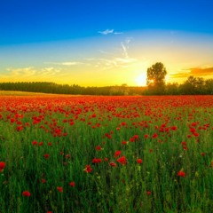 Acoustiv title background DOWNLOAD