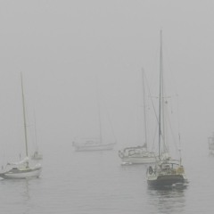 Brume