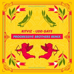 Ritviz - Udd Gaye (Progressive Brothers Remix)