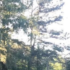 A step out on the backporch