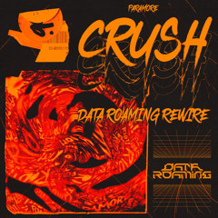 Paramore - crushcrushcrush (Data Roaming ReWire)