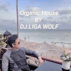 ORGANIC HOUSE MIX BY LIGA WOLF DEEJAY