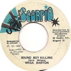 Stream Mega Banton - Sound Boy Killing (Supa Ape Remix
