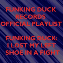 Funking Duck: I Lost My Left Shoe in a Fight