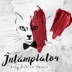 The Motans - Intamplator (Arty Violin Remix)