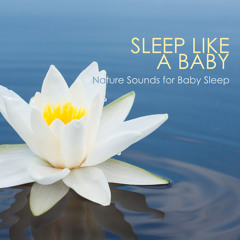 Sleeping Like a Baby (Toddler Music)