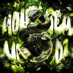 MONTAGEM ANACONDA - Super Slowed