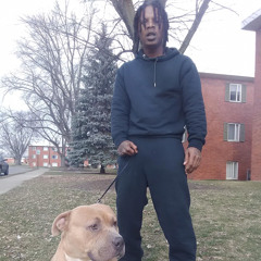 The bottom Ft Carveno