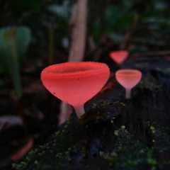 minimal illumination