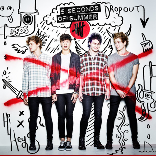 Amnesia - 5 Seconds of Summer (CRIB Remix)