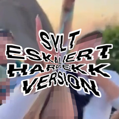 Sylt Eskaliert mit GIGI HARDTEKK Abo Special