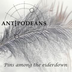 Pins Among The Eiderdown