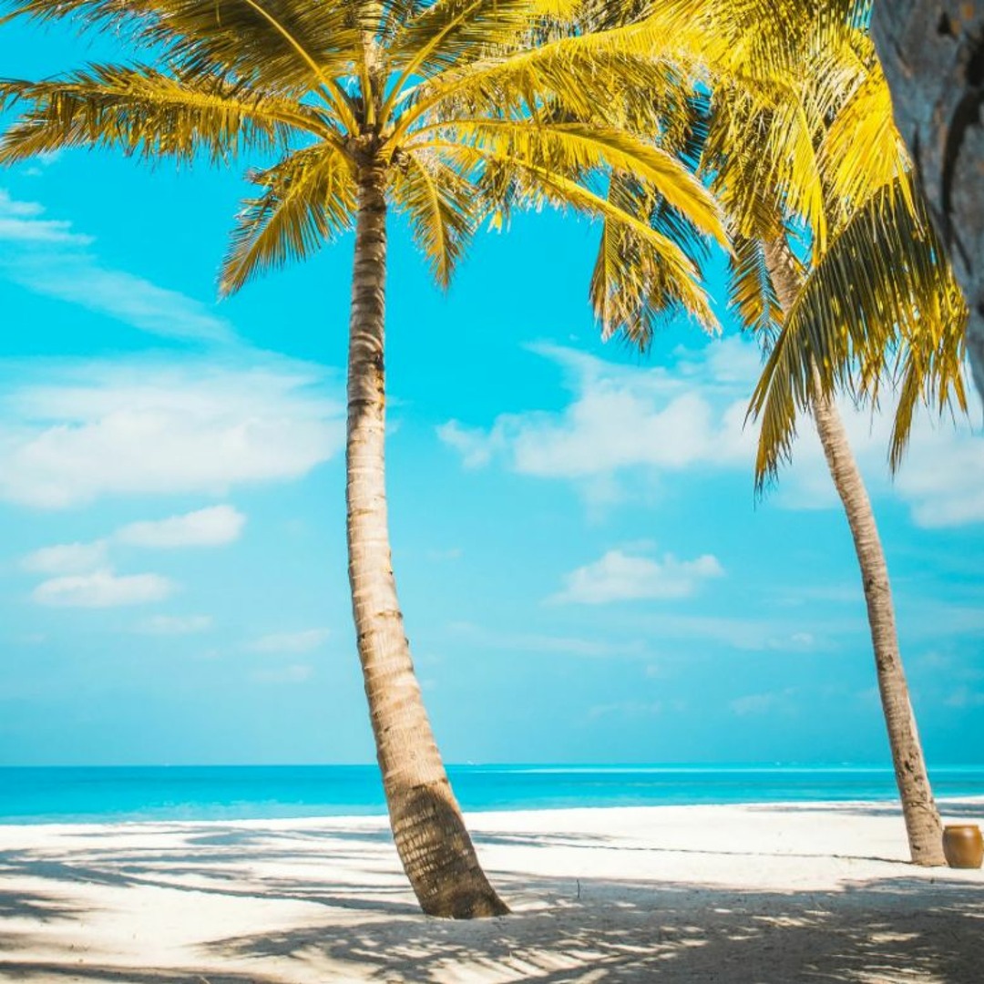 Stream Altcountry leaves background +FREE DOWNLOAD+ by Comboio Malado ...