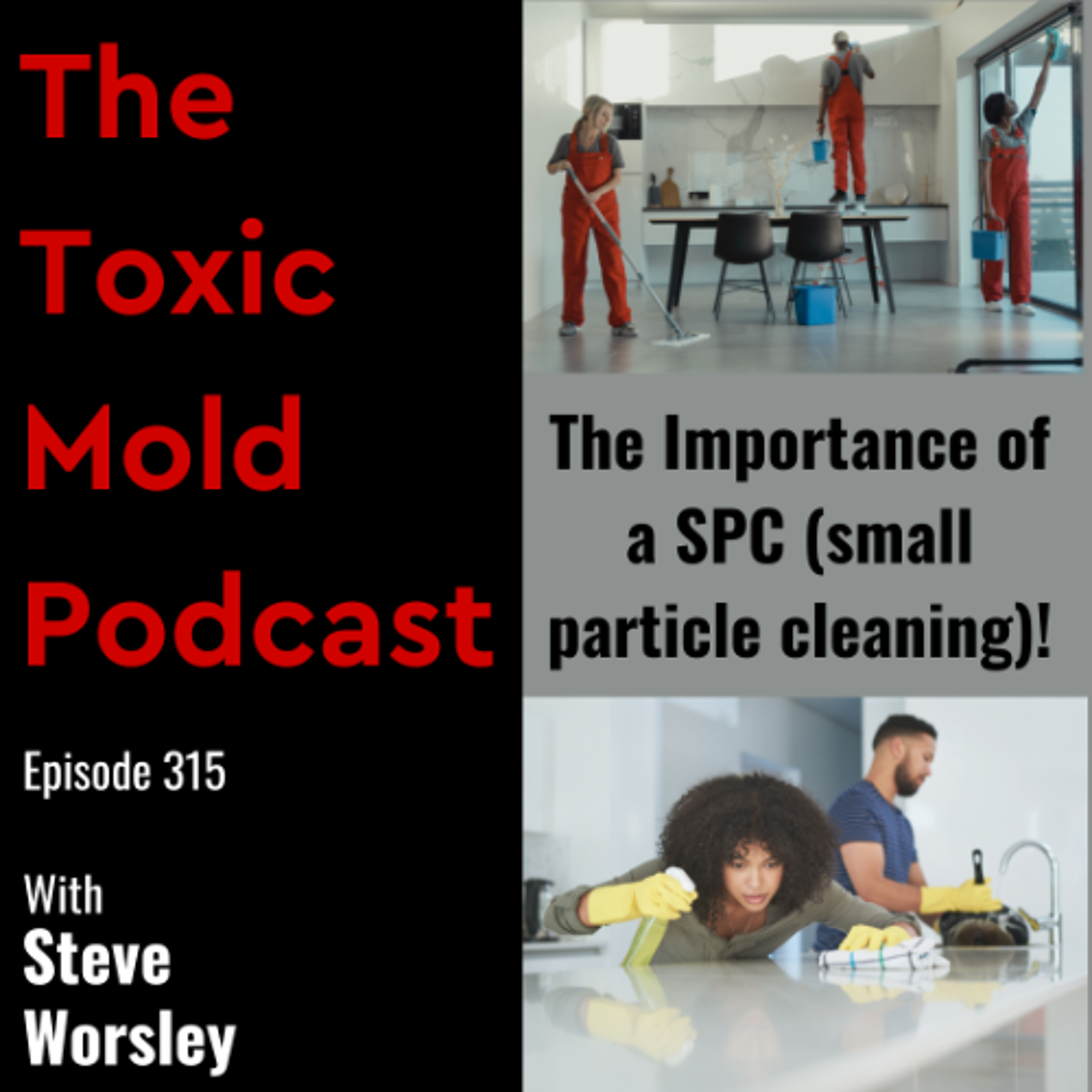 EP 315: The Importance of a SPC (small particle cleaning) after Mold Remediation