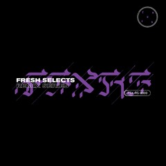 FSXRS: Fresh Selects Remix Series