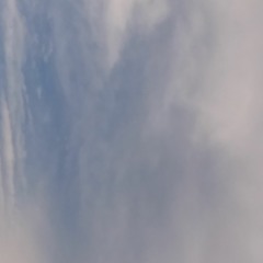 FOE 2Cool- Big Fishing