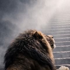 Stuck On You (2026 Reggae Cover).mp3