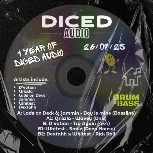1 Year Of Diced Audio EP