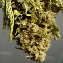 Dr. Dre - Get It (2020 leak)