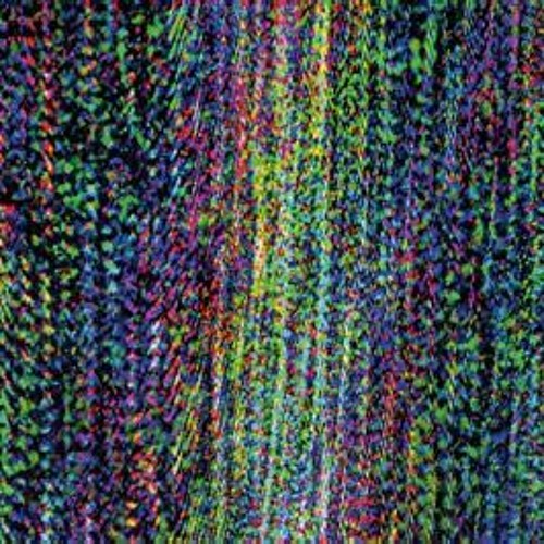 Noise and Order