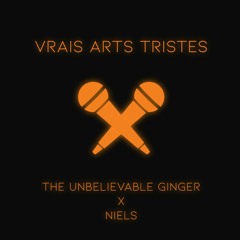 Vrais Arts Tristes (ft. Niels)