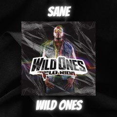 Flo Rida - Wild Ones (SANE Edit) scroll 30sec.