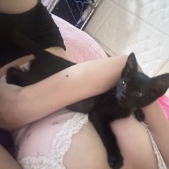 2 IN 1 - EM NÀO CÓ TỘI × TÌNH TA 2 NGÃ - MH MIX(CUT VER)