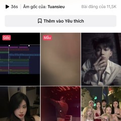 Đóa hoa x Việc nên làm Demo - Tuansieu Remix