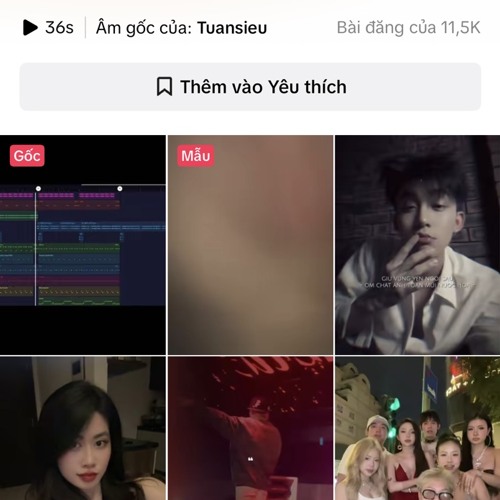 Đóa hoa x Việc nên làm Demo - Tuansieu Remix