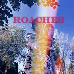 Roaches - Maxo Cream Remix