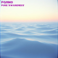 Pure Awareness