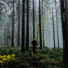 Goldfox at Sommar by Bunker 2020